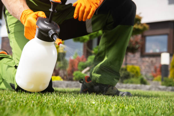 Best Best Pest Control Companies  in Middletown, MD