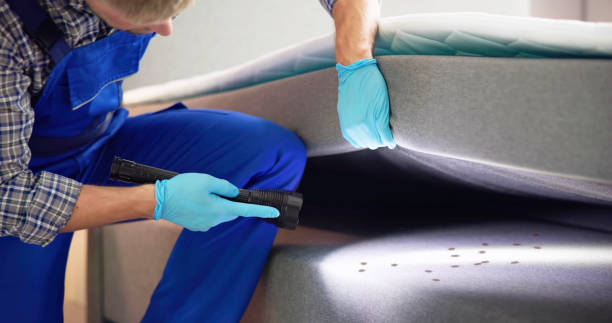 Best Local Pest Control Services  in Middletown, MD