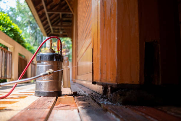 Best Mosquito Control Services  in Middletown, MD
