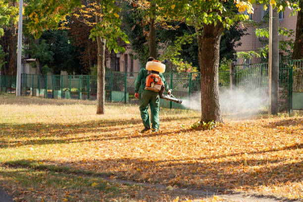 Wildlife Control Services in Middletown, MD