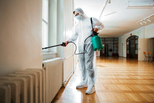 Best Affordable Pest Control Services  in Middletown, MD